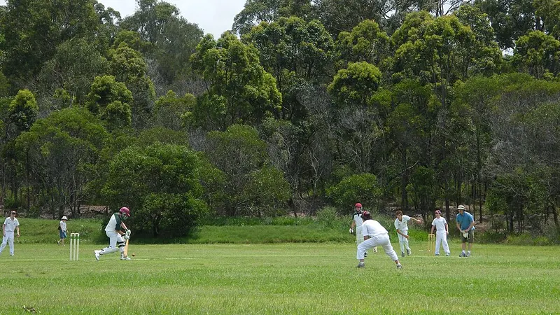Cricketers playing on a grass pitch