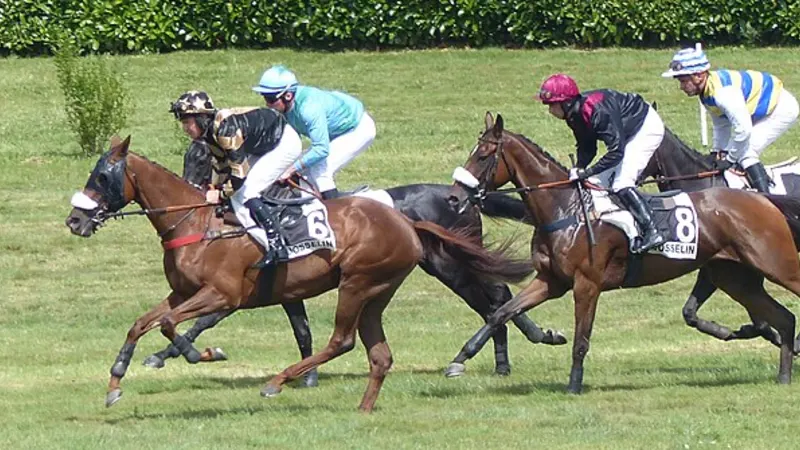 Racehorses and jockeys competing on a turf racecourse